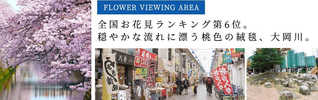 FLOWER VIEWING AREA
